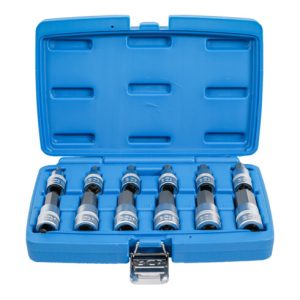 BGS Bit-Einsatz-Satz Antrieb Innenvierkant 12,5 mm Innensechskant 5 – 22 mm 12-tlg.