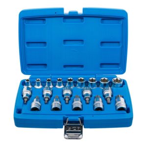 BGS Bit-Einsatz-/Steckschlüssel-Einsatz-Satz Antrieb Innenvierkant 12,5 mm E-Profil / T-Profil (für Torx) 19-tlg.