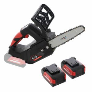 Blue Bird THCS 22-07 – Akku-Kettensäge – 2 x 21V – 5Ah – Schwert 20cm Blue Bird THCS 22-07 – Akku-Kettensäge – 2 x 21V – 5Ah – Schwert 20cm