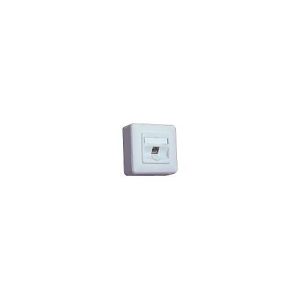 BTR IT CONNECT E-DAT modul 8(8) AP – Wanddose – CAT 6 – RJ-45 – Pure White, RAL 9010