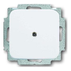 Busch-Jaeger Blindzentralscheibe aws mit Tragring 2538-214