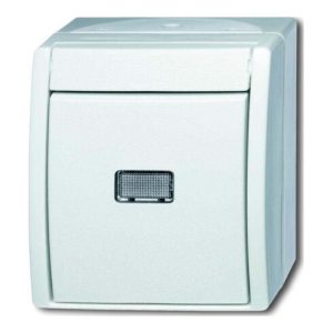 Busch-Jaeger Taster aws Wechsler 2621 W-54-206