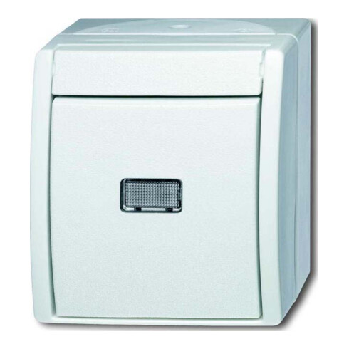 Busch-Jaeger Taster aws Wechsler 2621 W-54-206