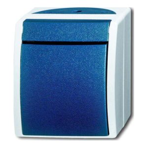 Busch-Jaeger Taster Schliesser, AP 2621 W-53