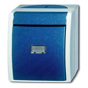 Busch-Jaeger Taster Wechsler, AP 2621 W-53-206