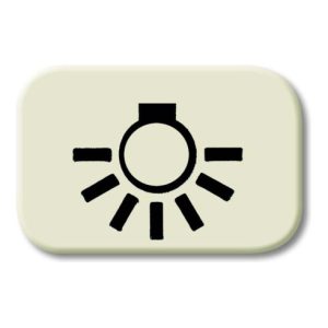 Busch-Jaeger Tastersymbol Licht 2525 LI