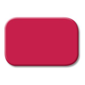 Busch-Jaeger Tastersymbol rot 2525-12