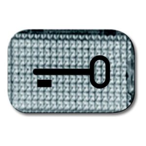 Busch-Jaeger Tastersymbol Schlüssel 2145 TR