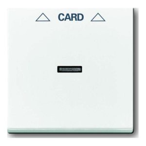 Busch-Jaeger Zentralscheibe dav/sws für Cardschalter 1792-84 Busch-Jaeger Zentralscheibe dav/sws für Cardschalter 1792-84