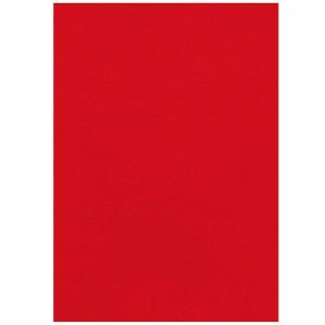 Fellowes Deckblatt, Format A4, für Bindemaschinen, aus Papier in Lederoptik, rot, 100 Stück Fellowes Deckblatt, Format A4, für Bindemaschinen, aus Papier in Lederoptik, rot, 100 Stück