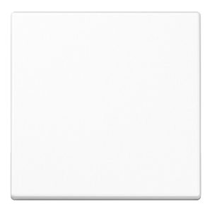 Jung Steuertaste Standard A 1700 WW