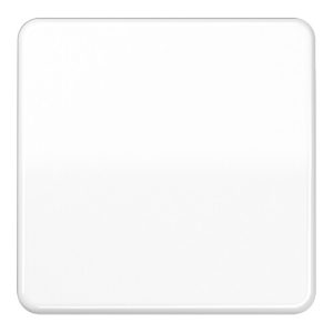Jung Steuertaste Standard CD 1700 WW