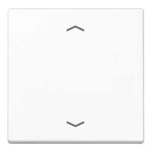 Jung Steuertaste Standard Symbole Pfeile A 1700 P WW