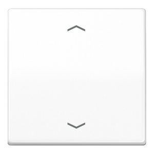 Jung Steuertaste Standard Symbole Pfeile AS 1700 P WW