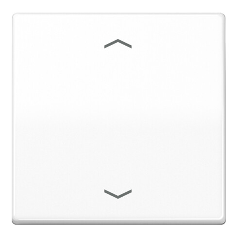 Jung Steuertaste Standard Symbole Pfeile AS 1700 P WW