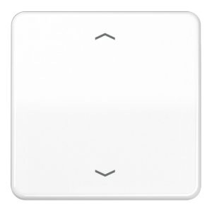 Jung Steuertaste Standard Symbole Pfeile CD 1700 P WW