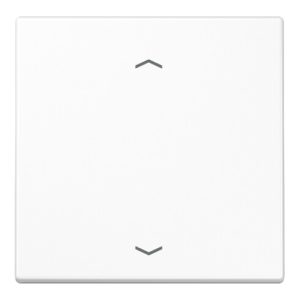 Jung Steuertaste Standard Symbole Pfeile LS 1700 P WW