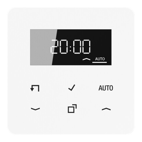 Jung Timer Standard, Display Echtglasfront CD 1750 D WW