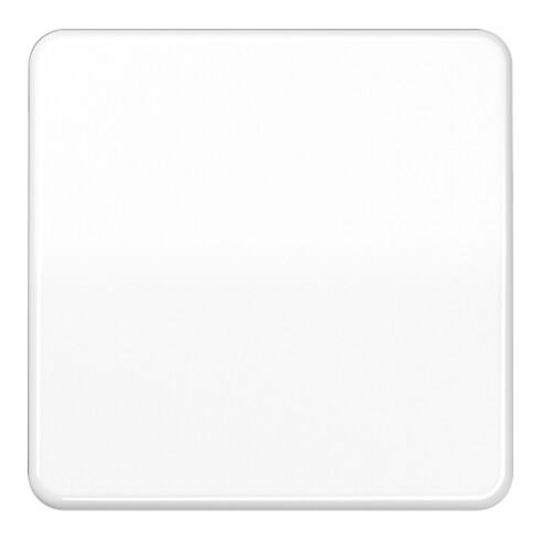 Jung Wippe aws für Schalter/Taster CD 590 BF WW