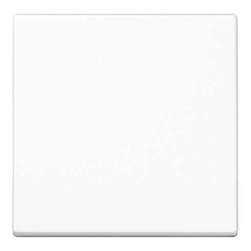 Jung Wippe aws für Taster A 590 WW