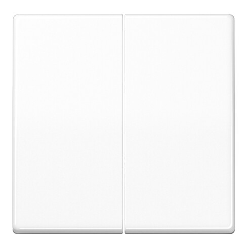 Jung Wippe aws für Taster AS 591-5 WW
