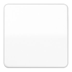 Jung Wippe aws für Taster CD 590 WW Jung Wippe aws für Taster CD 590 WW
