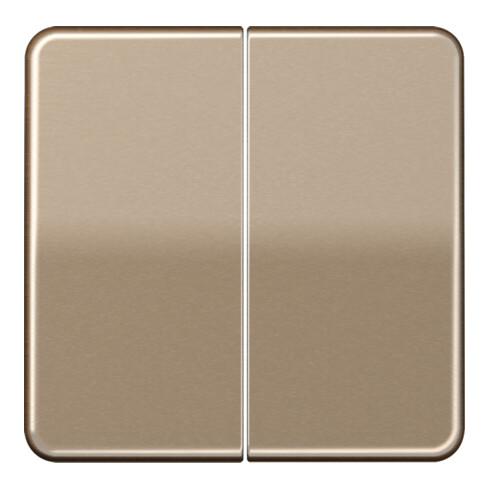 Jung Wippe go-brz für Taster CD 595 GB
