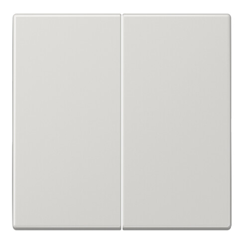 Jung Wippe lgr für Taster LS 995 LG