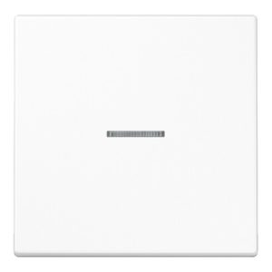 Jung Wippe Lichtleiter aws für Schalter/Taster LS 990 KO5 WW Jung Wippe Lichtleiter aws für Schalter/Taster LS 990 KO5 WW
