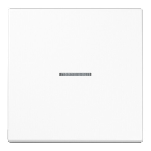 Jung Wippe Lichtleiter aws für Schalter/Taster LS 990 KO5 WW