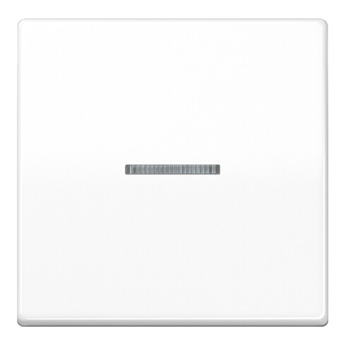Jung Wippe Lichtleiter aws für Taster AS 591 KO5 WW