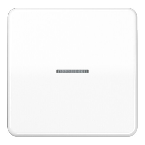 Jung Wippe Lichtleiter aws für Taster CD 590 KO5 WW