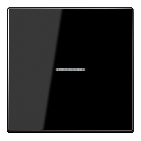 Jung Wippe Lichtleiter ws für Taster LS 990 KO5 SW