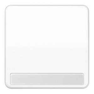 Jung Wippe Schriftfeld aws für Taster CD 590 NA WW Jung Wippe Schriftfeld aws für Taster CD 590 NA WW