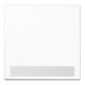 Jung Wippe Schriftfeld aws für Taster LS 990 NA WW Jung Wippe Schriftfeld aws für Taster LS 990 NA WW
