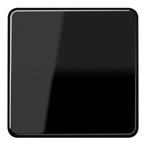 Jung Wippe sw für Taster CD 590