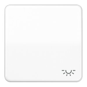 Jung Wippe Symbol LICHT aws für Taster CD 590 L WW Jung Wippe Symbol LICHT aws für Taster CD 590 L WW