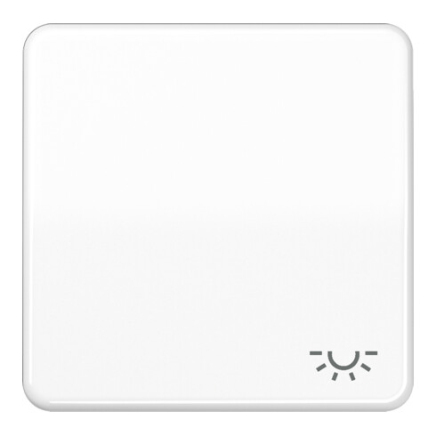Jung Wippe Symbol LICHT aws für Taster CD 590 L WW