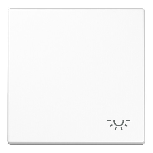 Jung Wippe Symbol LICHT aws für Taster LS 990 L WW