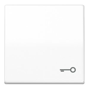 Jung Wippe Symbol TÜR aws für Taster AS 591 T WW Jung Wippe Symbol TÜR aws für Taster AS 591 T WW