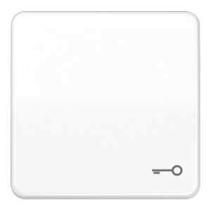 Jung Wippe Symbol TÜR aws für Taster CD 590 T WW Jung Wippe Symbol TÜR aws für Taster CD 590 T WW