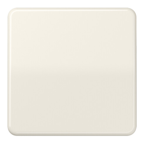 Jung Wippe ws für Taster CD 590