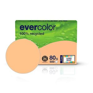 Kopierpapier EVERCOLOR, farbig, DIN A4, 80 g/m², lachsrosa, 500 Blatt Kopierpapier EVERCOLOR, farbig, DIN A4, 80 g/m², lachsrosa, 500 Blatt