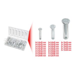 KS Tools Sortiment Sicherungsbolzen, Ø 5-12mm, 21 Größen, 60-teilig KS Tools Sortiment Sicherungsbolzen, Ø 5-12mm, 21 Größen, 60-teilig