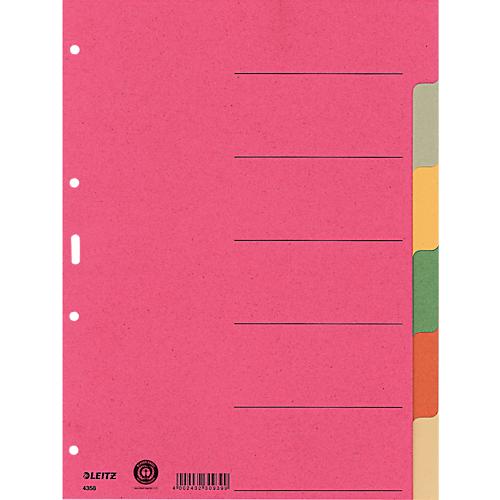 LEITZ® Register Blanko, 6 Taben, zur freien Verwendung, einzeln
