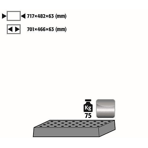 Lochblecheinsatz Standard für asecos Sicherheitsschränke der Q30, Q90 und S90 Serie, Edelstahl 1.4016, B 717 x T 482 x H 63 mm, bis 75 kg