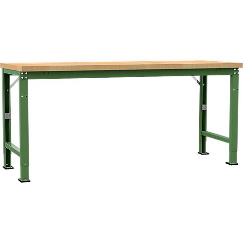 Manuflex Werkbank Profi Spezial, Tischplatte Multiplex, 2000 x 700 mm, resedagrün