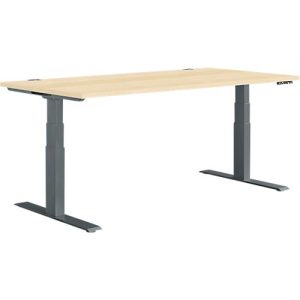 Schäfer Shop Genius Schreibtisch MODENA FLEX, elektrisch höhenverstellbar, Rechteck, T-Fuß, B 1600 x T 800 mm, Ahorn/anthrazit Schäfer Shop Genius Schreibtisch MODENA FLEX, elektrisch höhenverstellbar, Rechteck, T-Fuß, B 1600 x T 800 mm, Ahorn/anthrazit