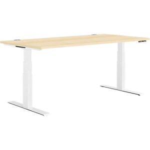 Schäfer Shop Genius Schreibtisch MODENA FLEX, elektrisch höhenverstellbar, Rechteck, T-Fuß, B 1600 x T 800 mm, Ahorn/weiß Schäfer Shop Genius Schreibtisch MODENA FLEX, elektrisch höhenverstellbar, Rechteck, T-Fuß, B 1600 x T 800 mm, Ahorn/weiß