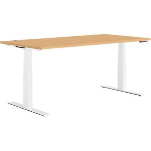 Schäfer Shop Genius Schreibtisch MODENA FLEX, elektrisch höhenverstellbar, Rechteck, T-Fuß, B 1600 x T 800 mm, Buche/weiß Schäfer Shop Genius Schreibtisch MODENA FLEX, elektrisch höhenverstellbar, Rechteck, T-Fuß, B 1600 x T 800 mm, Buche/weiß